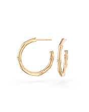 Charger l'image dans la galerie, Bamboo Gold Hoop - Arter Jewelry
