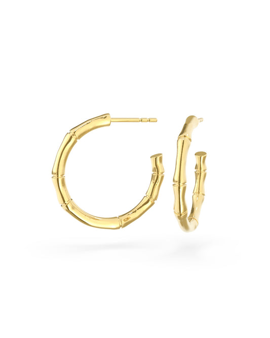 Bamboo Gold Hoop - Arter Jewelry